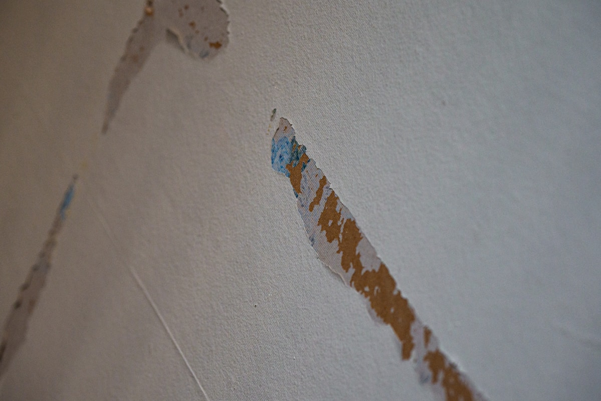 Structural Drying service in Gardena, CA